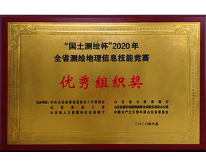 优秀组织奖