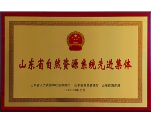山东省自然资源系统先进集体
